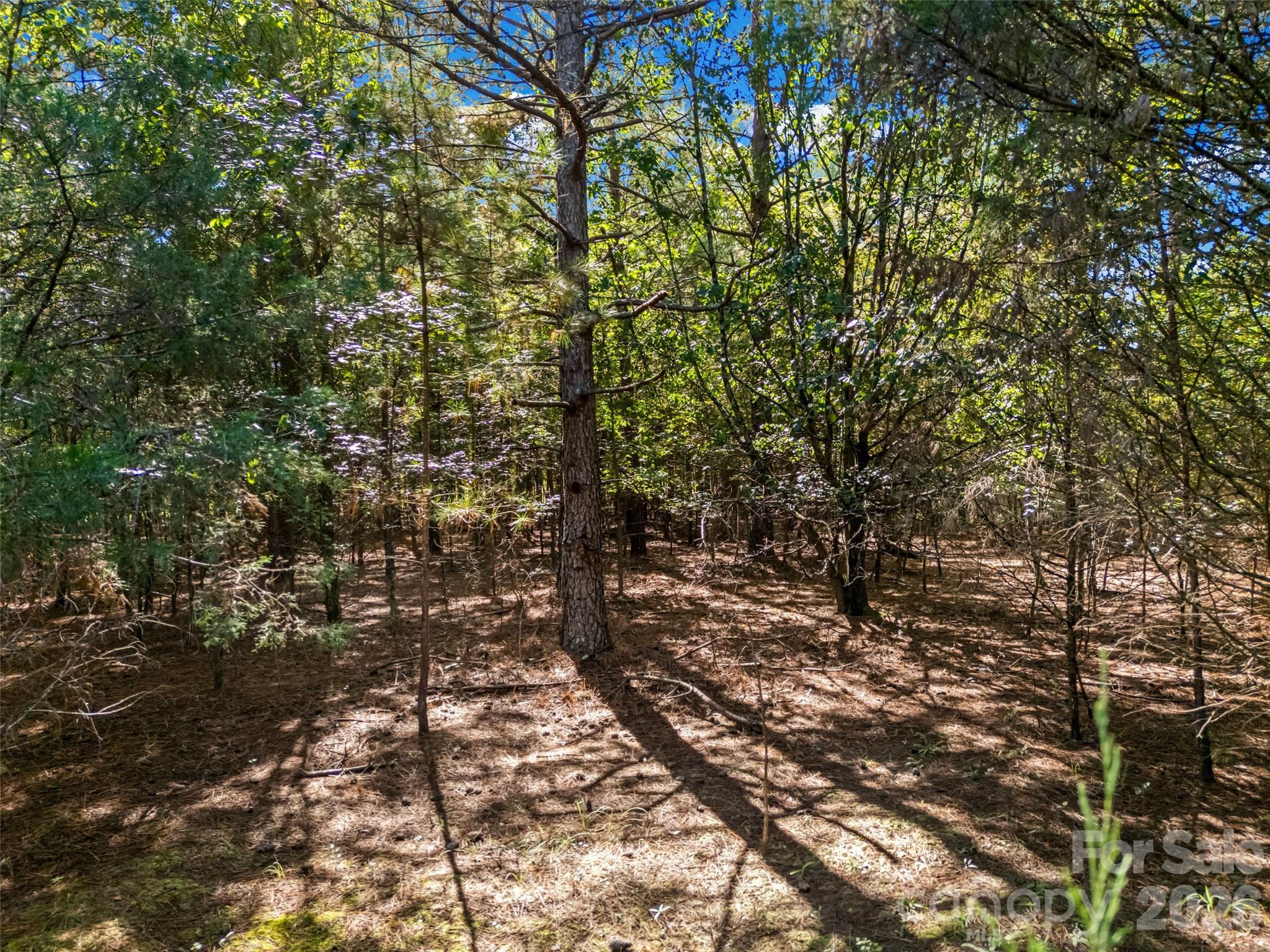 7215 Cunningham Lane