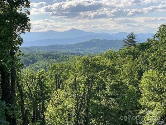 185 CROSSVINE TRL, HENDERSONVILLE, NC 28739 - Image 8e1bc0e9d6dcc5f9a84fd6f33cbb84a5/2315559892