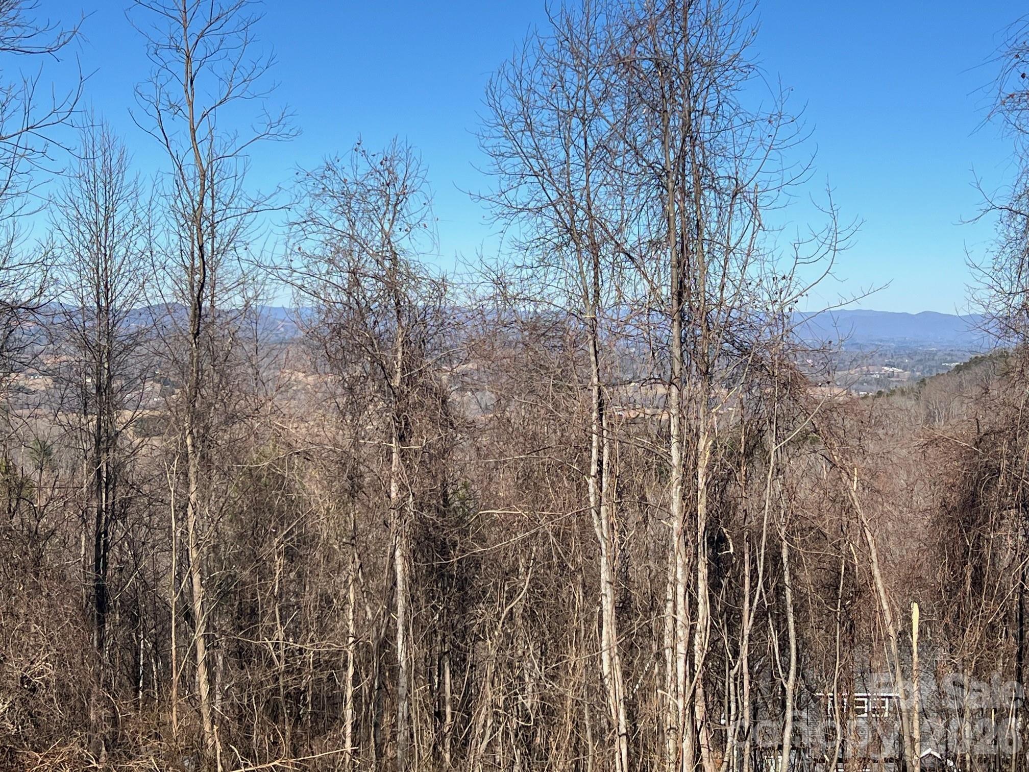 99999 Farm Cove Lane 10