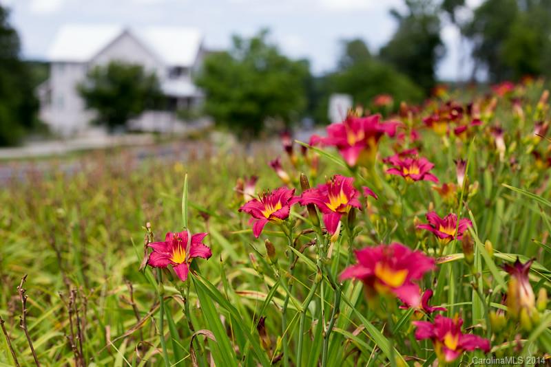 Riverwalk - Residential