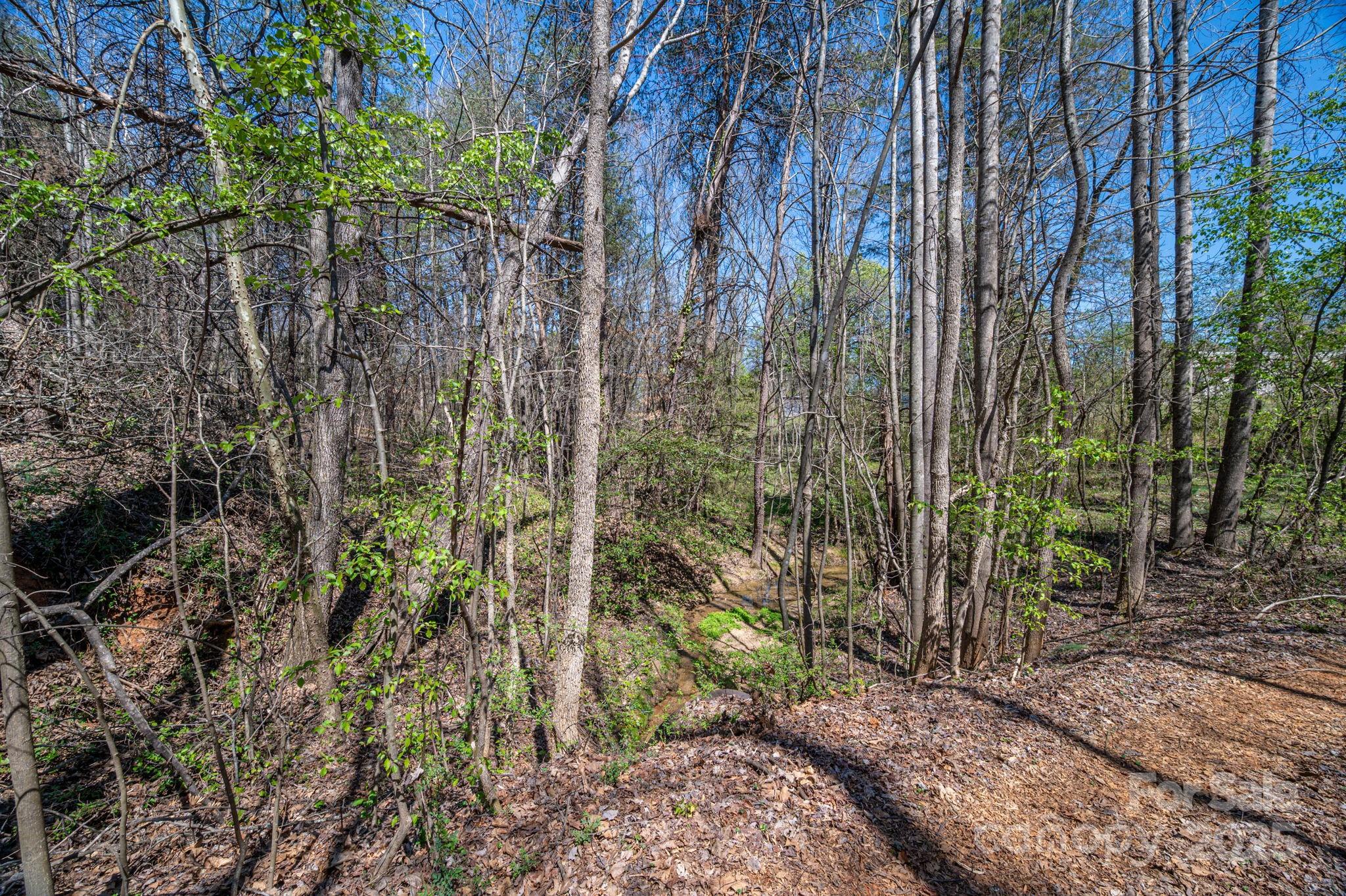 Newton, North Carolina 28658, United States, ,Land,Active,94567