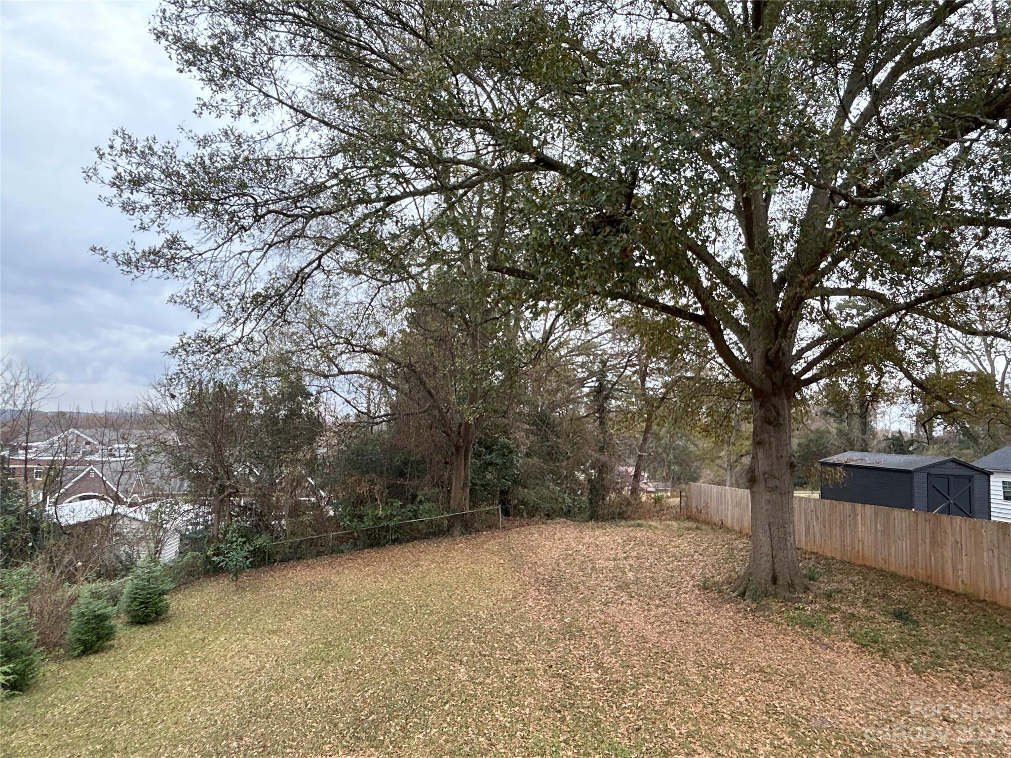 None - Residential Lease