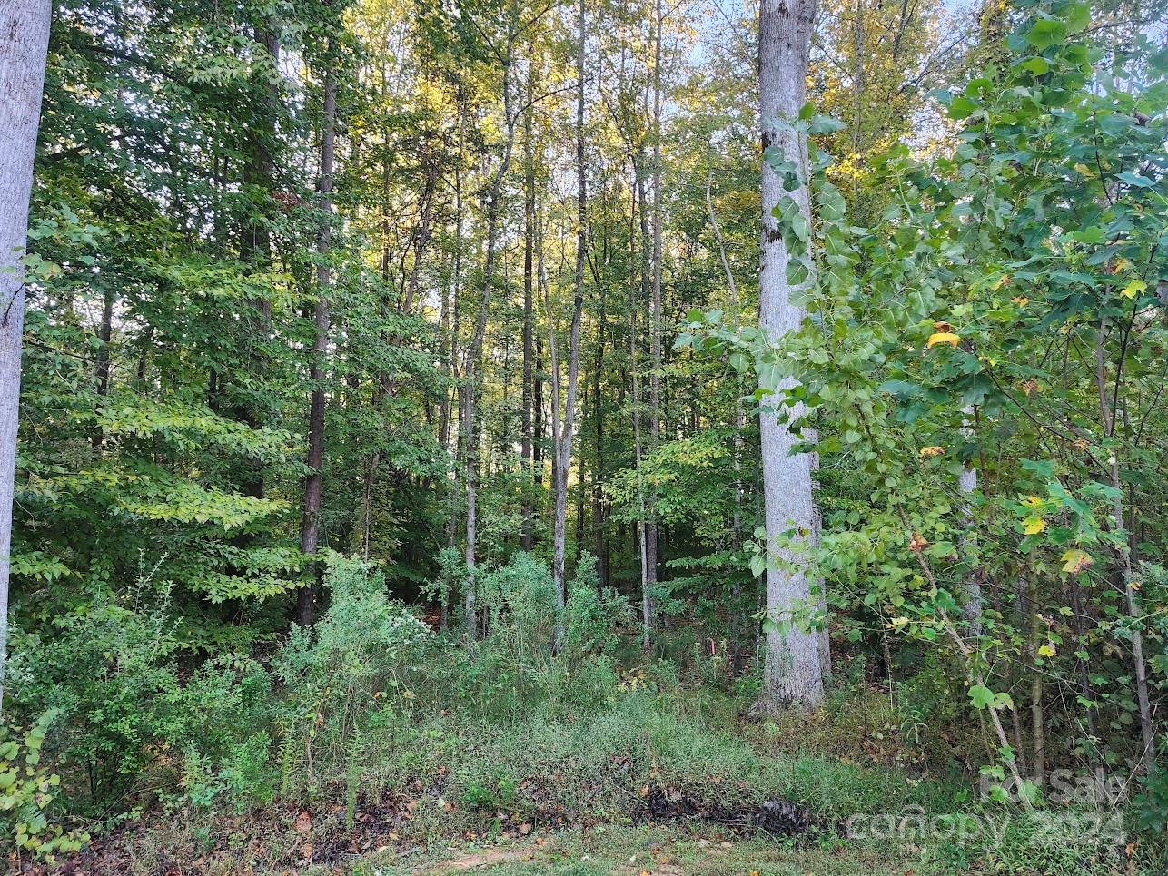 Aubert Landing - Land