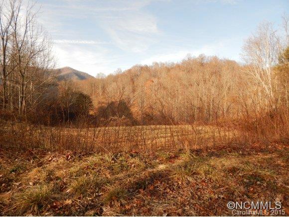 The Ridges At Cold Mountain - Land