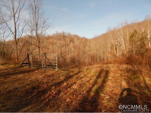 The Ridges At Cold Mountain - Land