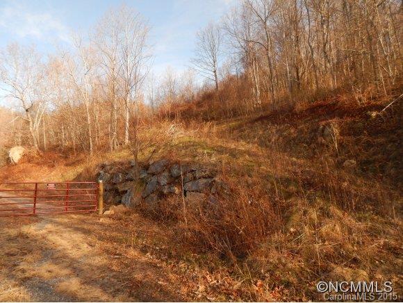 The Ridges At Cold Mountain - Land