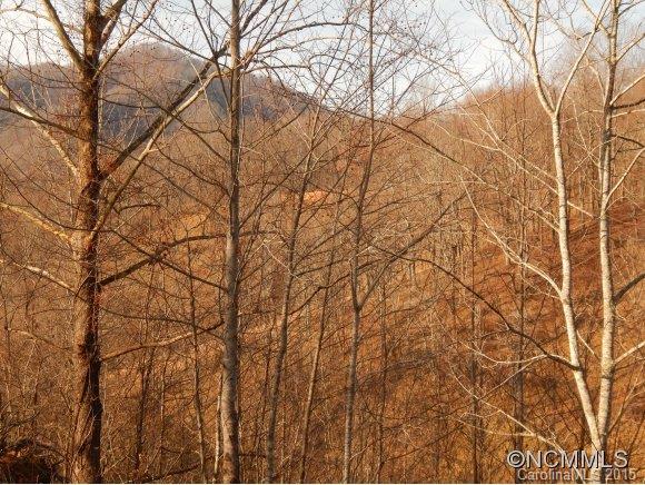 The Ridges At Cold Mountain - Land