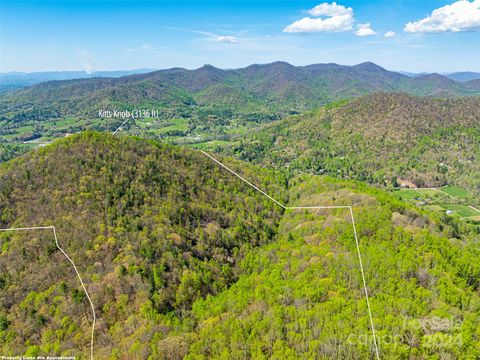 99999 Ox Creek Road Weaverville NC 28787