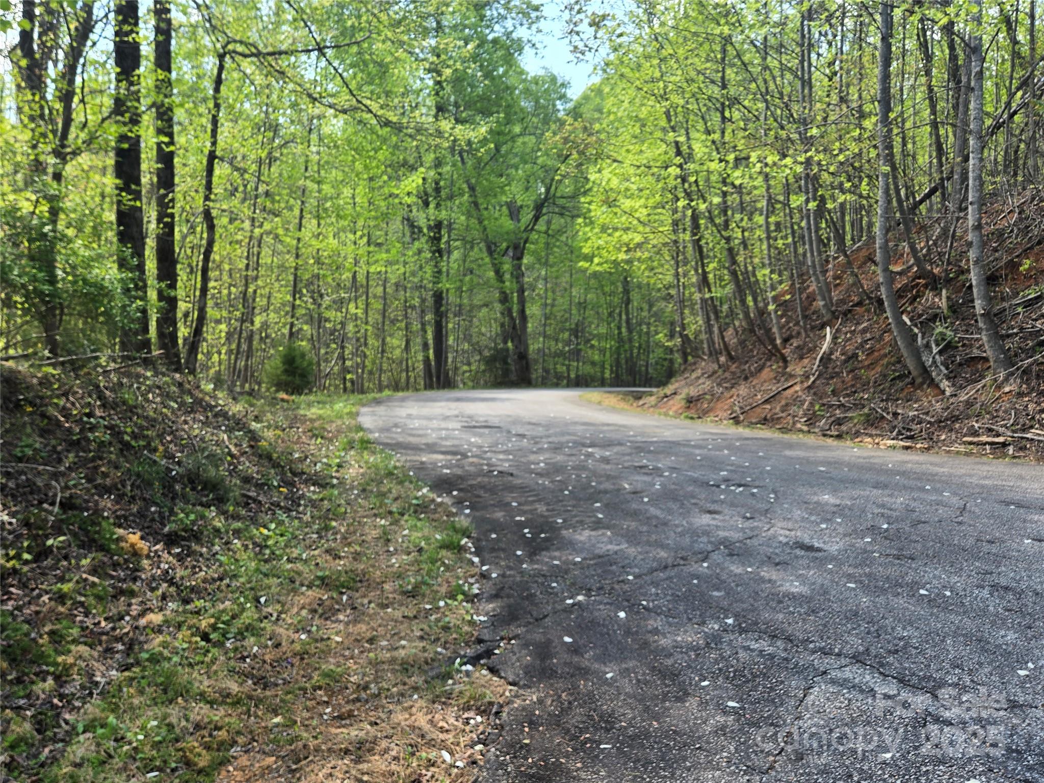 Lot 15 Touch Me Not Trail