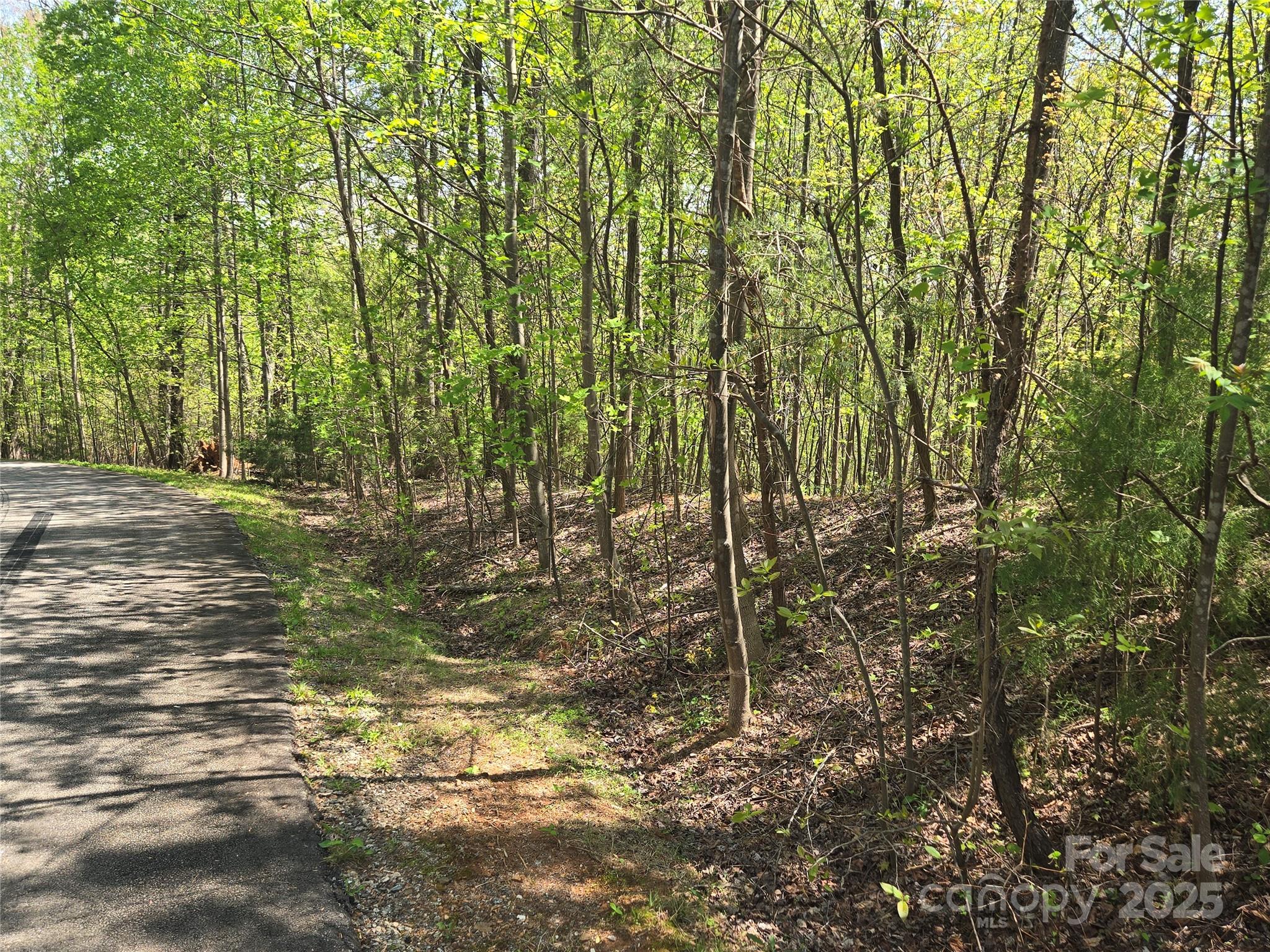 Lot 15 Touch Me Not Trail