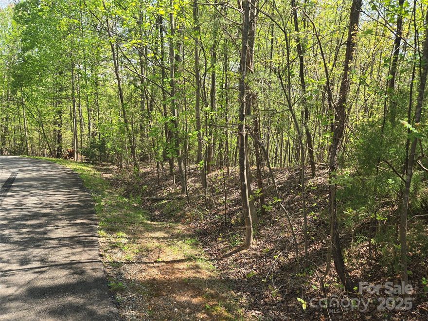 Knoll top lot that borders future community park. Excellent building lot with easy access off of a paved road. Winter views possible depending on the placement of the home. Underground utilities including Community Water, Power, and High-Speed Fiber Optic Internet. There are plans to add an attractive security gate to this neighborhood sometime in the future for additional privacy.  Land for a community park is in the planning stages as well. The community cart path passes through this neighborhood and provides access to the main gate via connecting paths. An amazing opportunity for anyone looking for a unique and private building site while also enjoying all the amenities Rumbling Bald has to offer including two Championship Golf Courses, three pools, Wellness Center, Spa and Salon, Beach, and much, much, more.