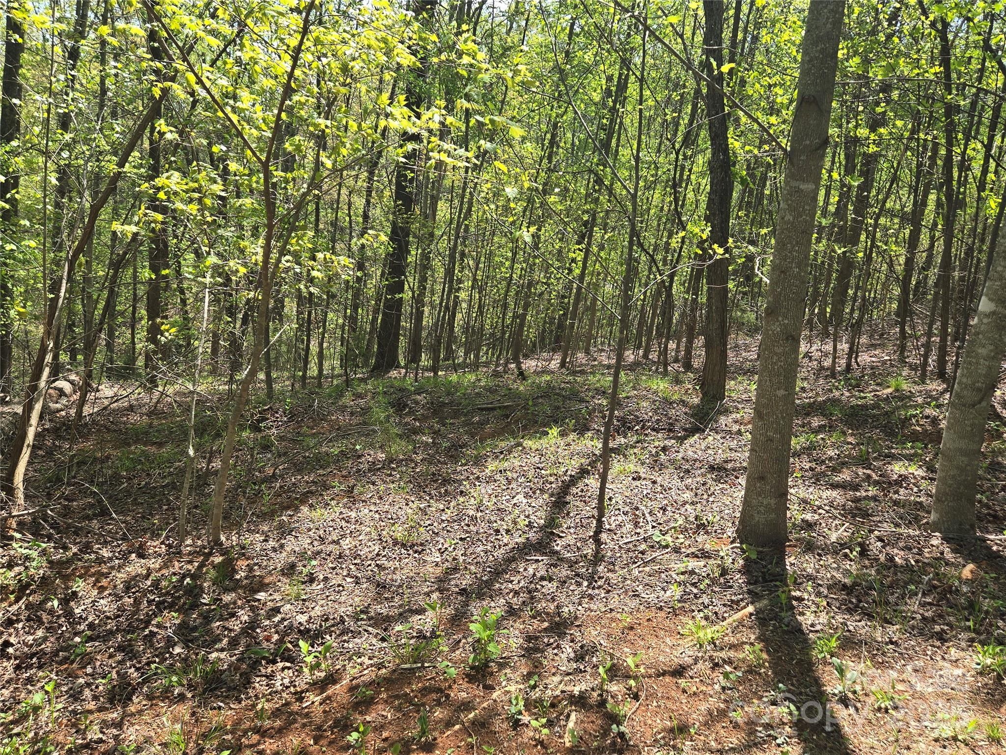 Lot 15 Touch Me Not Trail