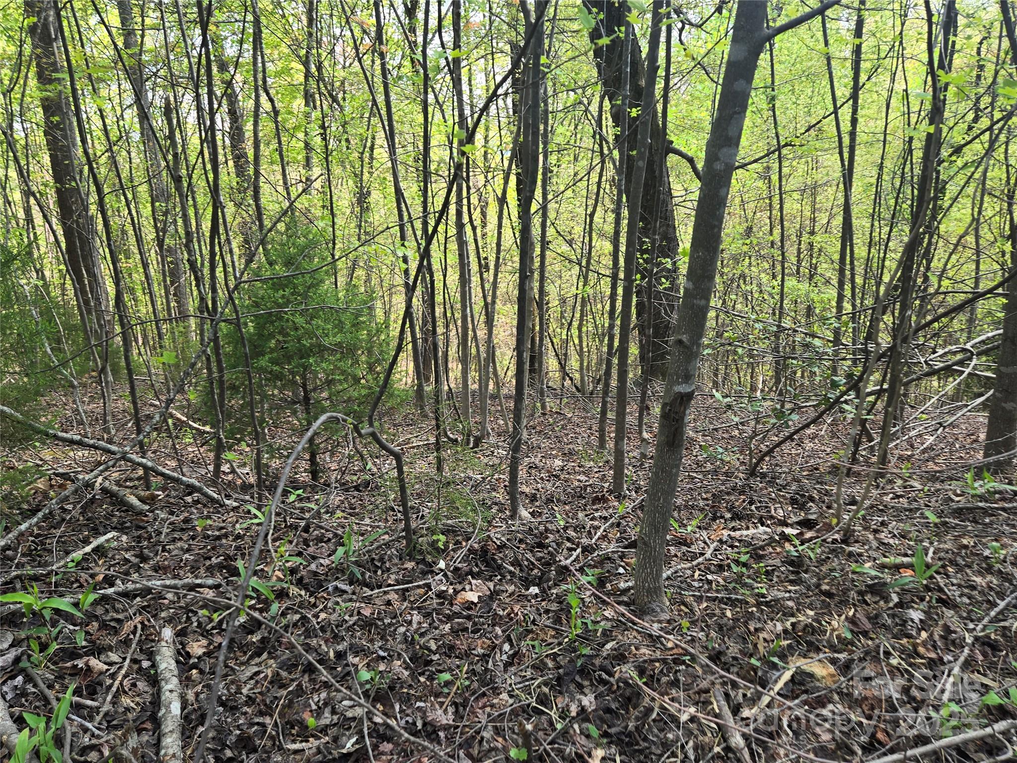 Lot 15 Touch Me Not Trail
