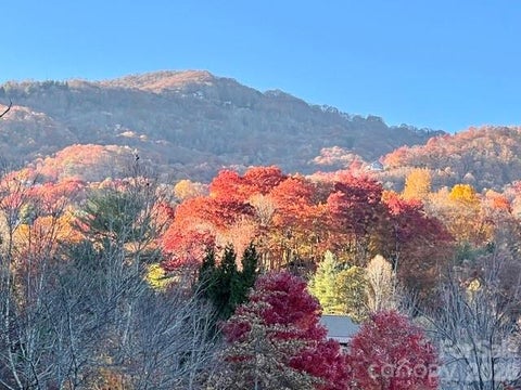 Photo of 245 Greenview Drive, Maggie Valley, NC 28751 (MLS # 4397878)