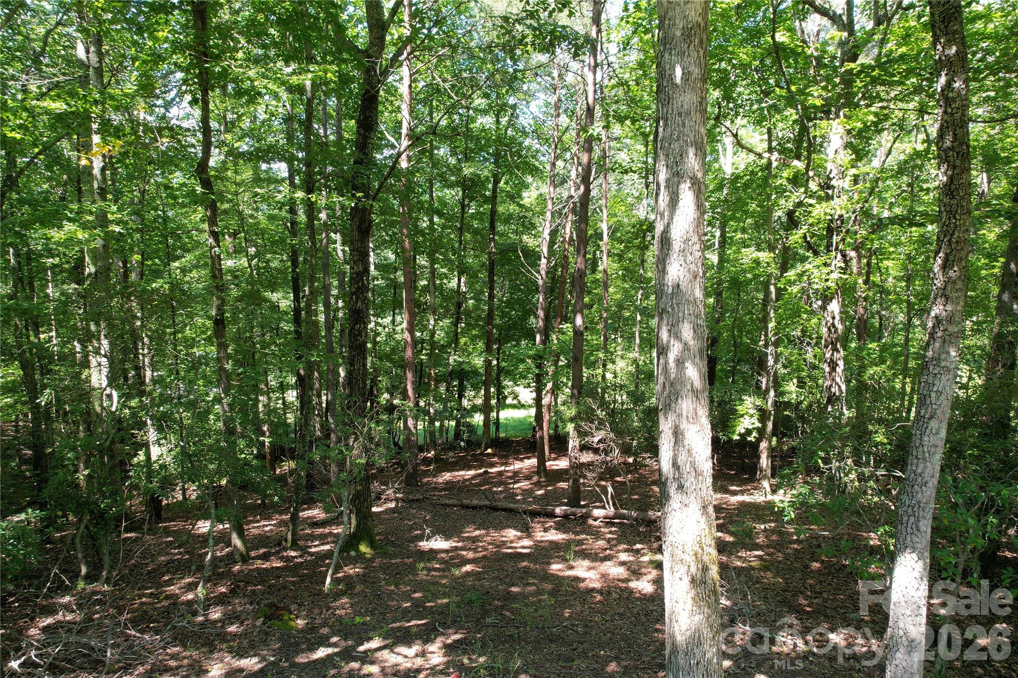 1545 Country View Way 302