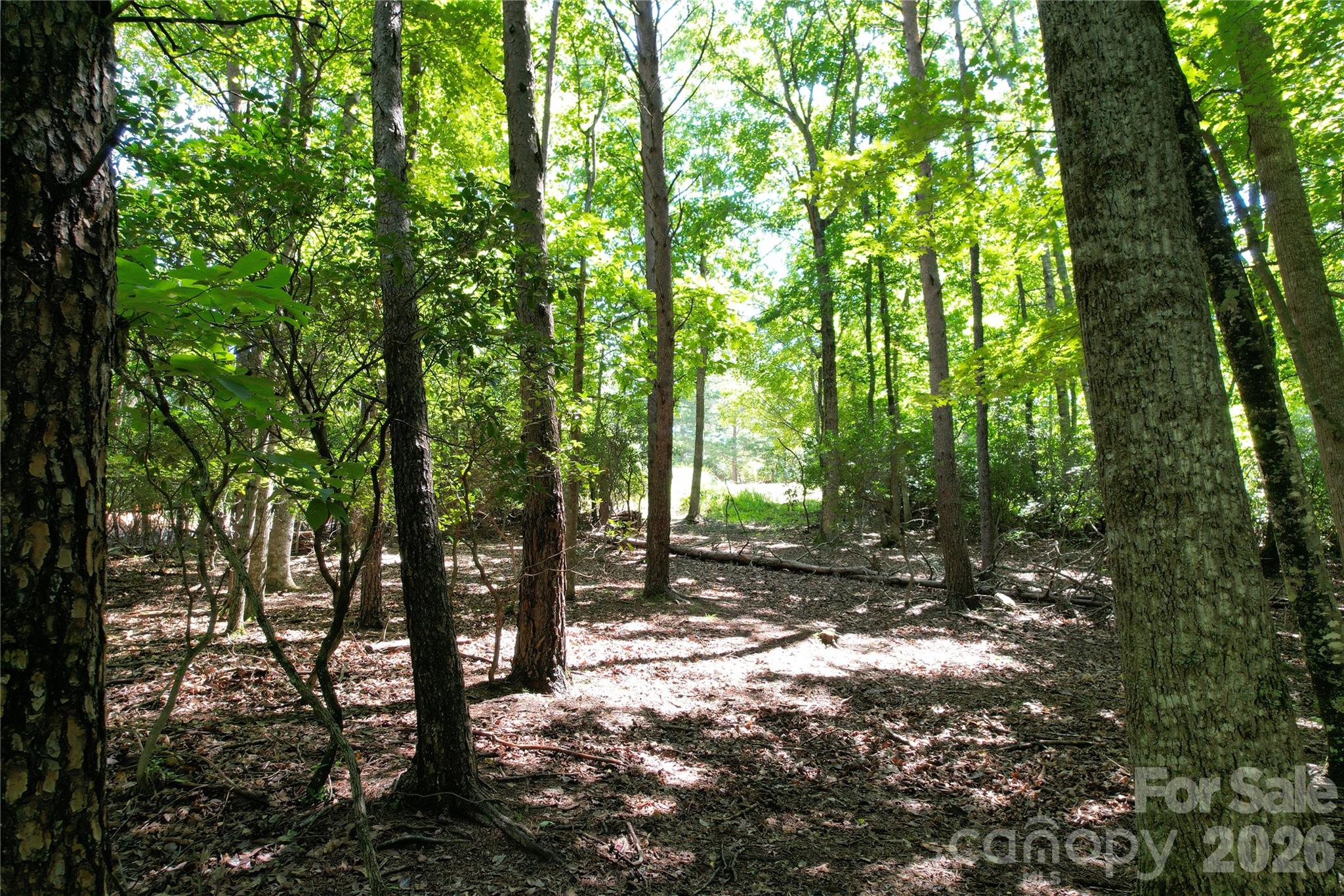 1545 Country View Way 302