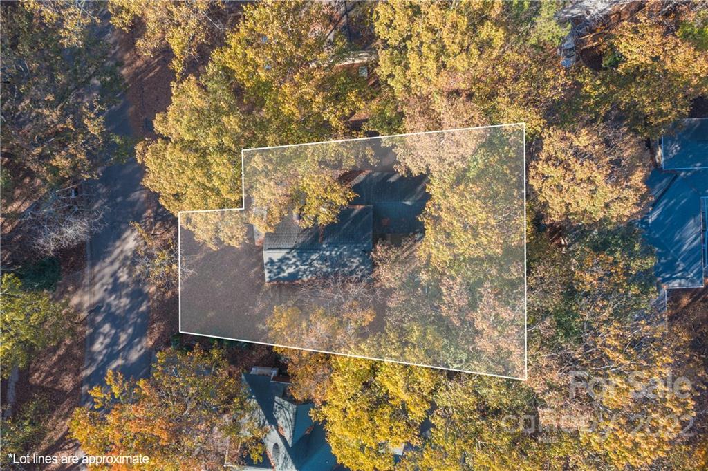 Tega Cay - Residential
