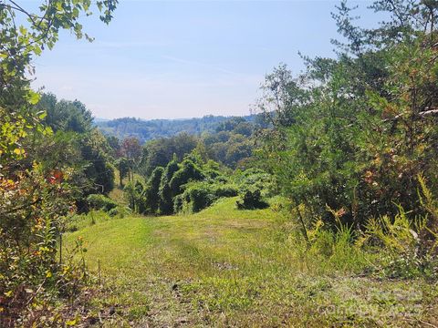 366 Cabin Hollow Drive Marshall NC 28753