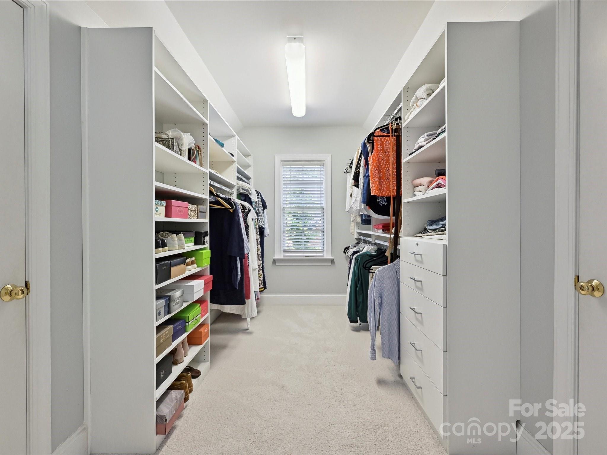 Mcalpine Forest - Residential