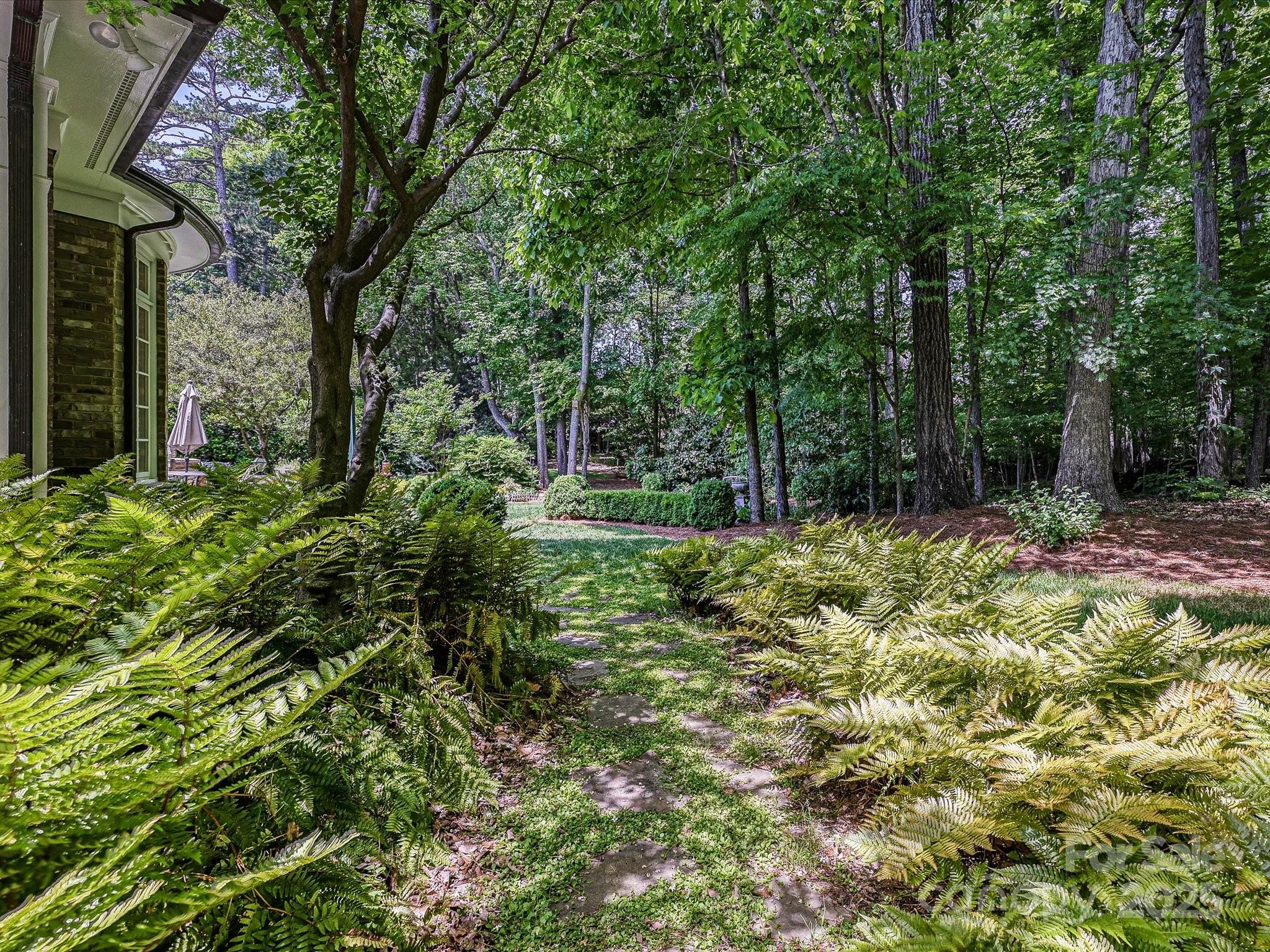 Mcalpine Forest - Residential