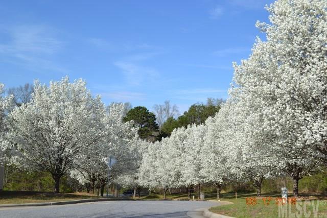 Stonebrook - Residential