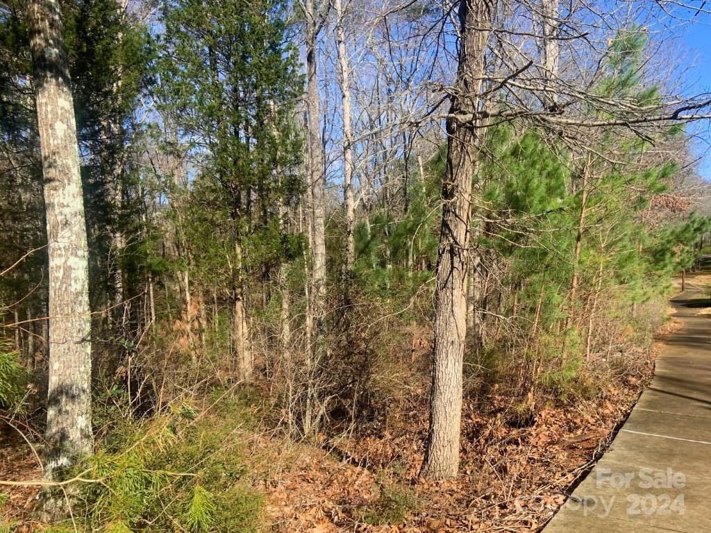 The Sanctuary - Land