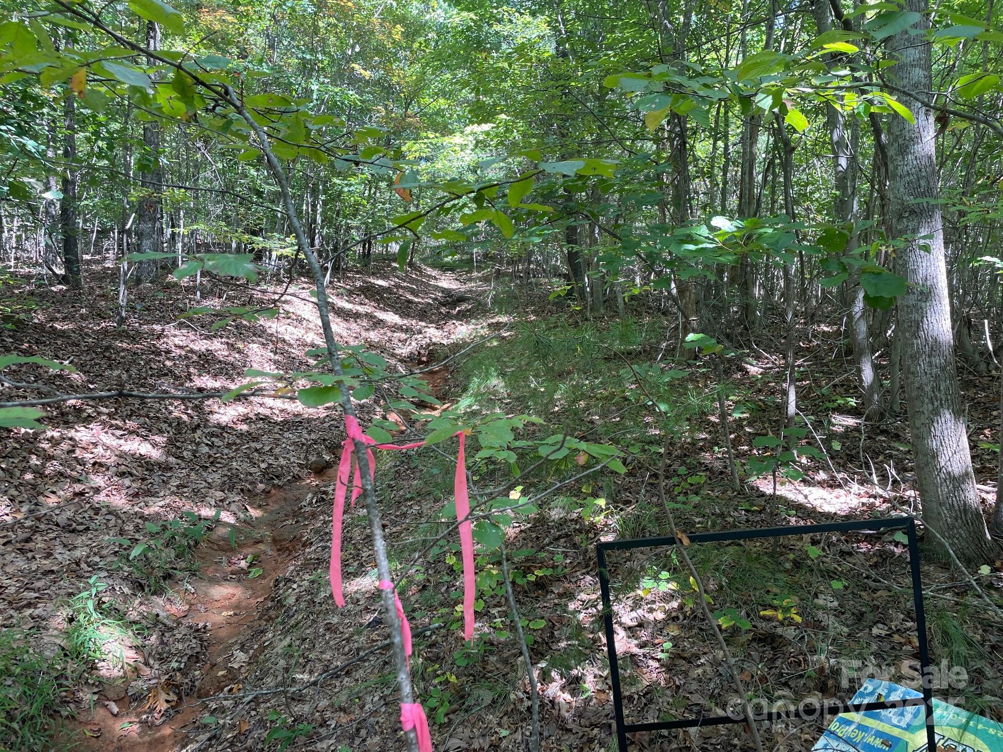 3913 High Peak Terrace