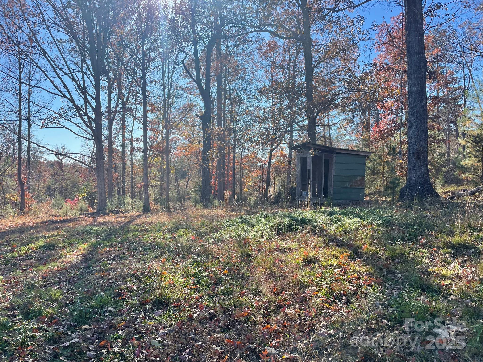 339 Bobby Mckinney Road