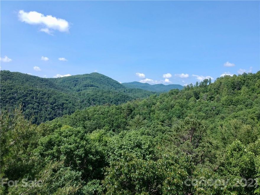 This PRIVATE 4+ acre lot is situated at the end of a cul-de-sac and is within walking distance of the community River Lodge & Fitness Center! Stroll right down the street to relax in the pool & enjoy the stunning mtn & river views!! This easy build site is ready for your dream to become a reality! Think of all of the fun you can have on 4 acres! Build your dream mountain getaway or full-time home to escape the daily hustle & bustle! This gated conservation community is loaded with amenities! Play along the shores of the French Broad River, soak in the vast mountain & river views from the Lodge, Fitness Center, and the River Park. Gather with friends and family at the amenities and/or hike or ride the miles of trails on your ATV! Fiber Optic Cable is now installed throughout FBC, including the lodge and fitness center. FBC is THE place to unwind and enjoy nature!