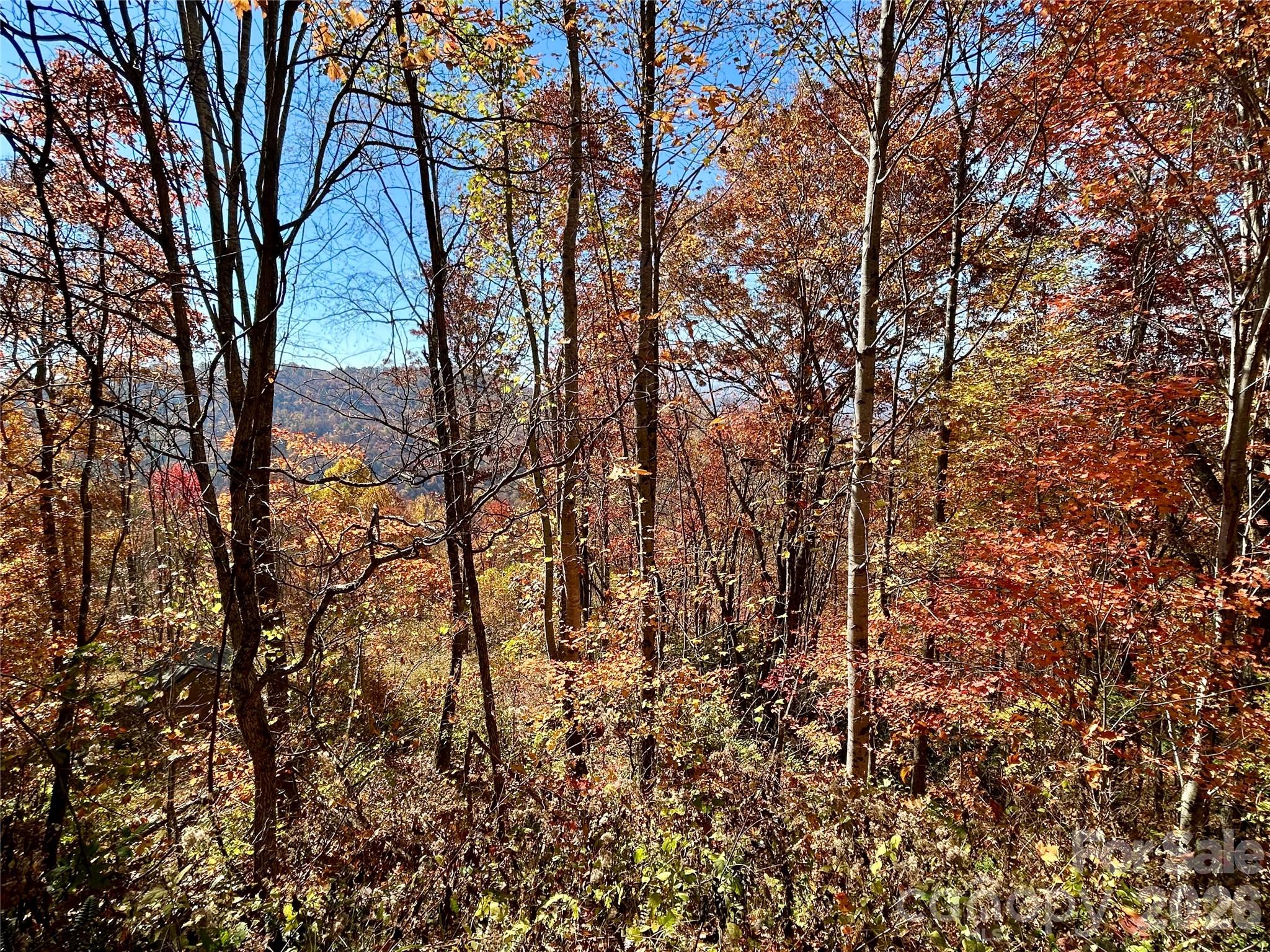 Brush Creek Properties - Land