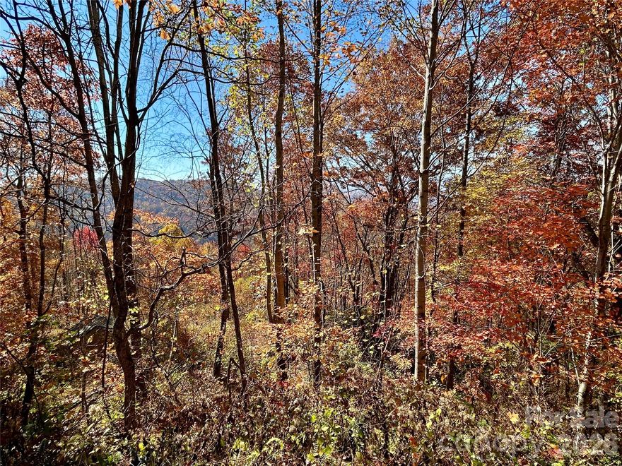 Enjoy breathtaking, layered mountain views from your own property, perched at an impressive 3,400 feet in elevation! Once cleared, this lot will reveal stunning vistas reminiscent of the reference photo taken from a nearby property, showcasing the potential beauty that awaits. Located within a secure gated community with paved roads, this property offers both privacy and convenience. You’ll be just a short drive from Bryson City, Franklin, and all the exciting attractions that make this area so desirable!