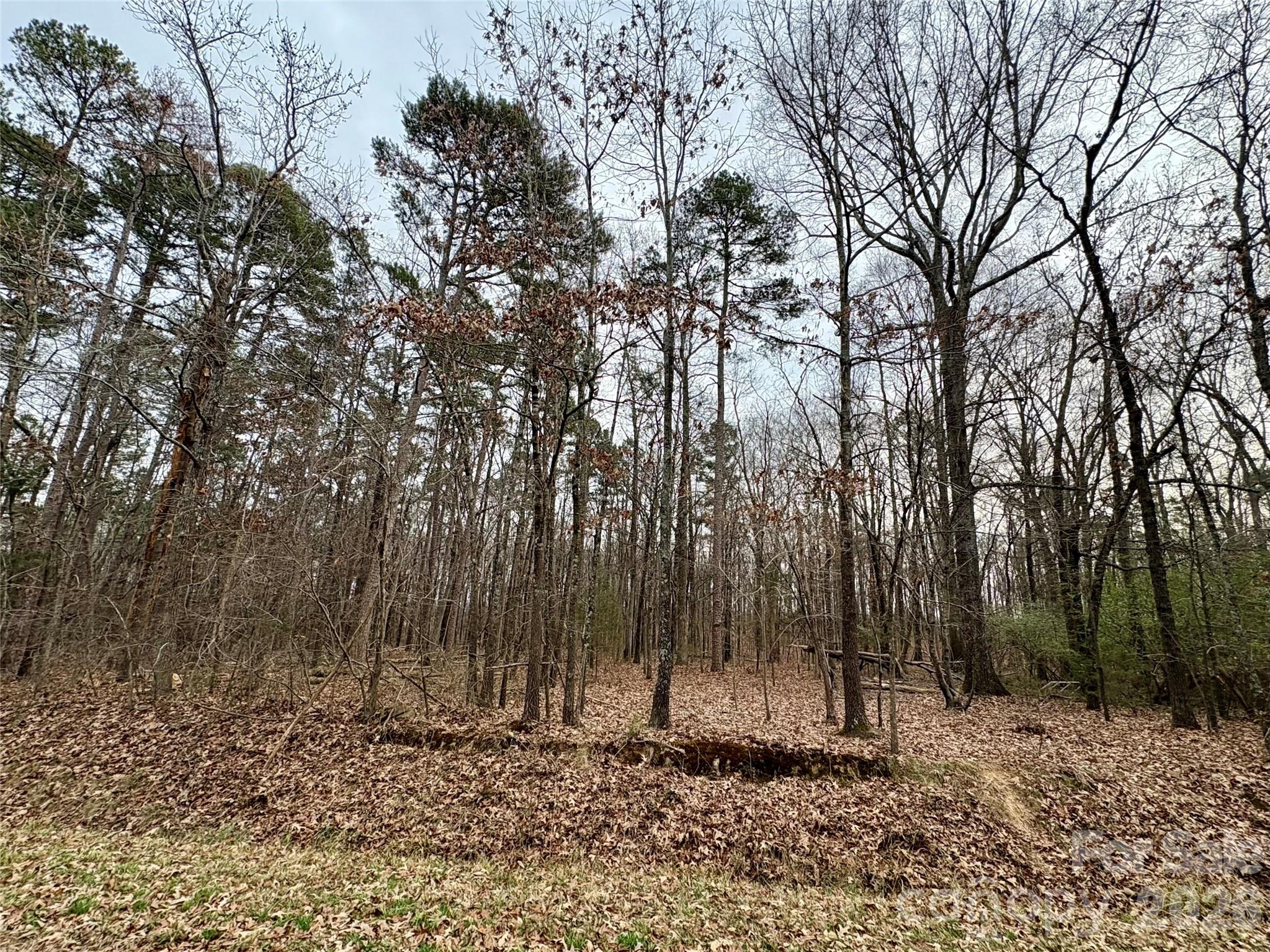 2734 L J Whitley Road