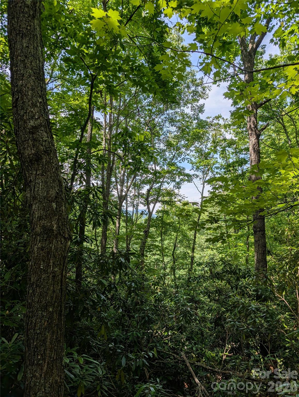 000 Pisgah Highway