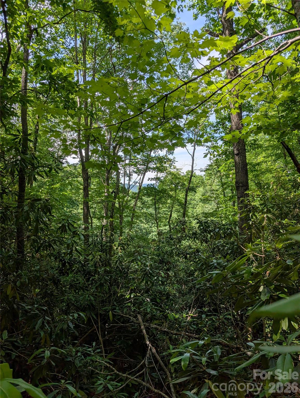 000 Pisgah Highway