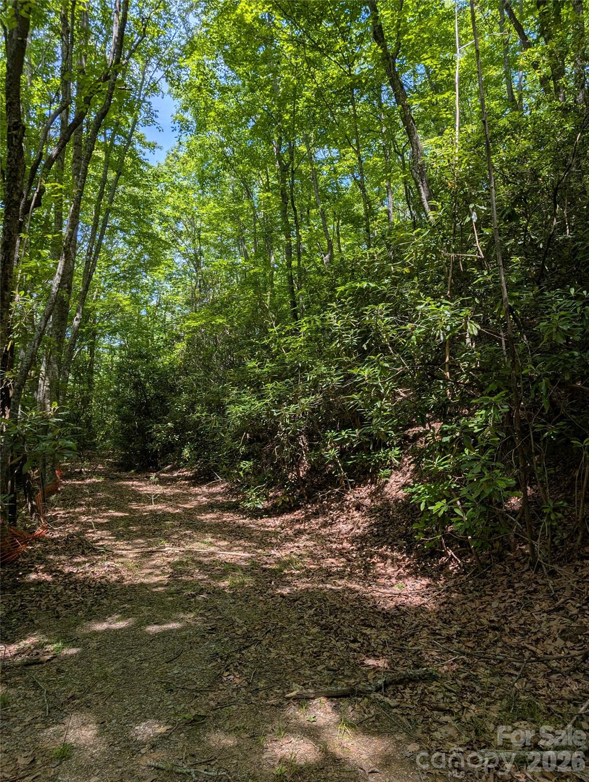 000 Pisgah Highway