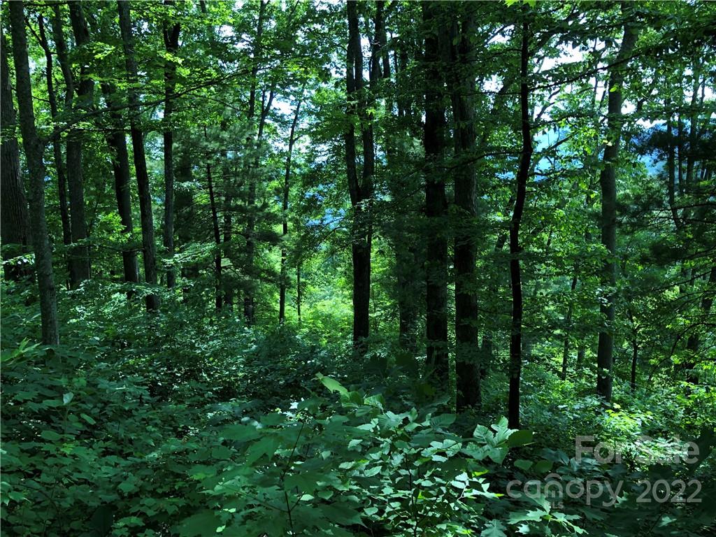 14 Majestic Overlook Way 51