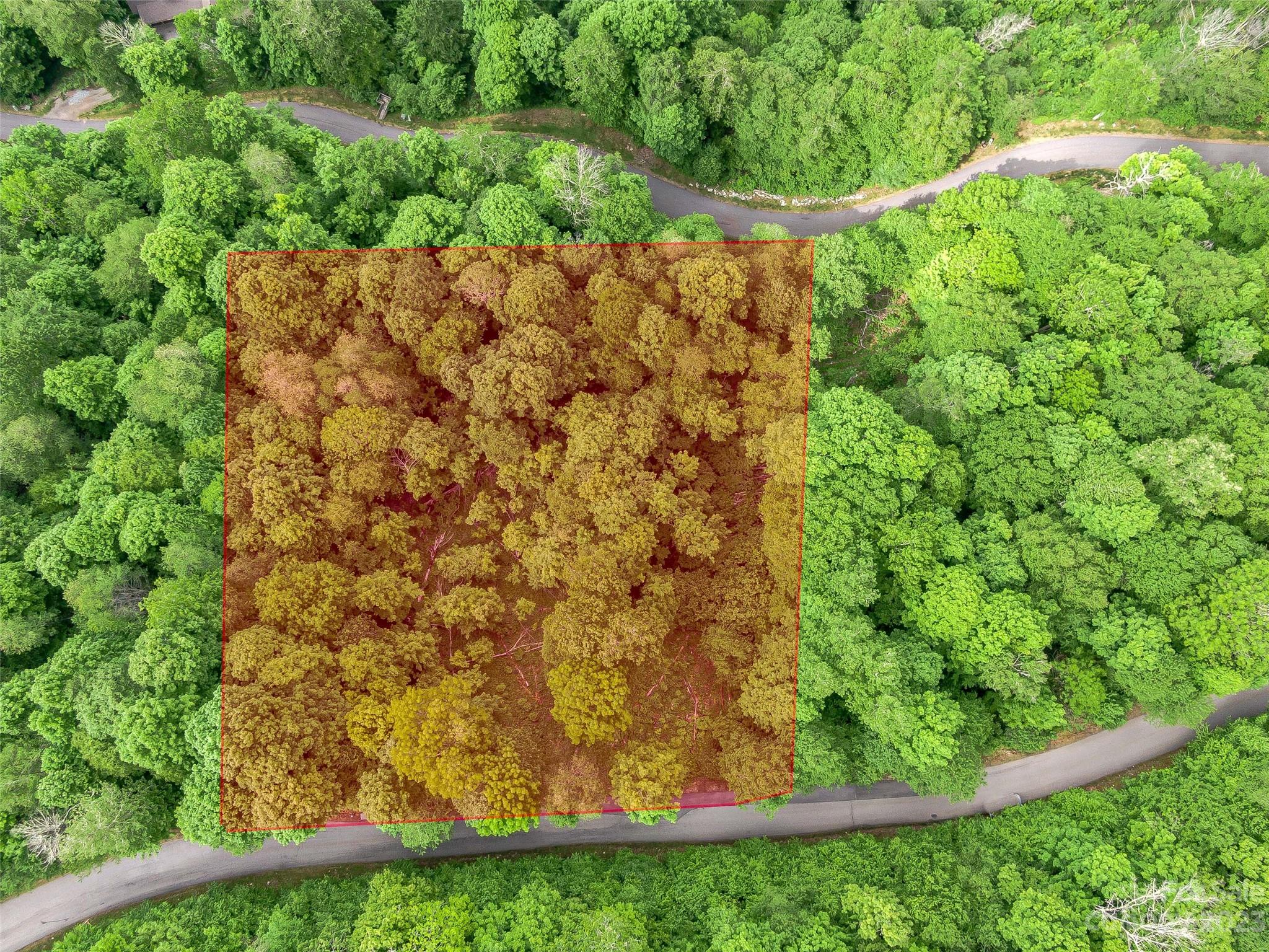 The Preserve at Wolf Laurel - Land