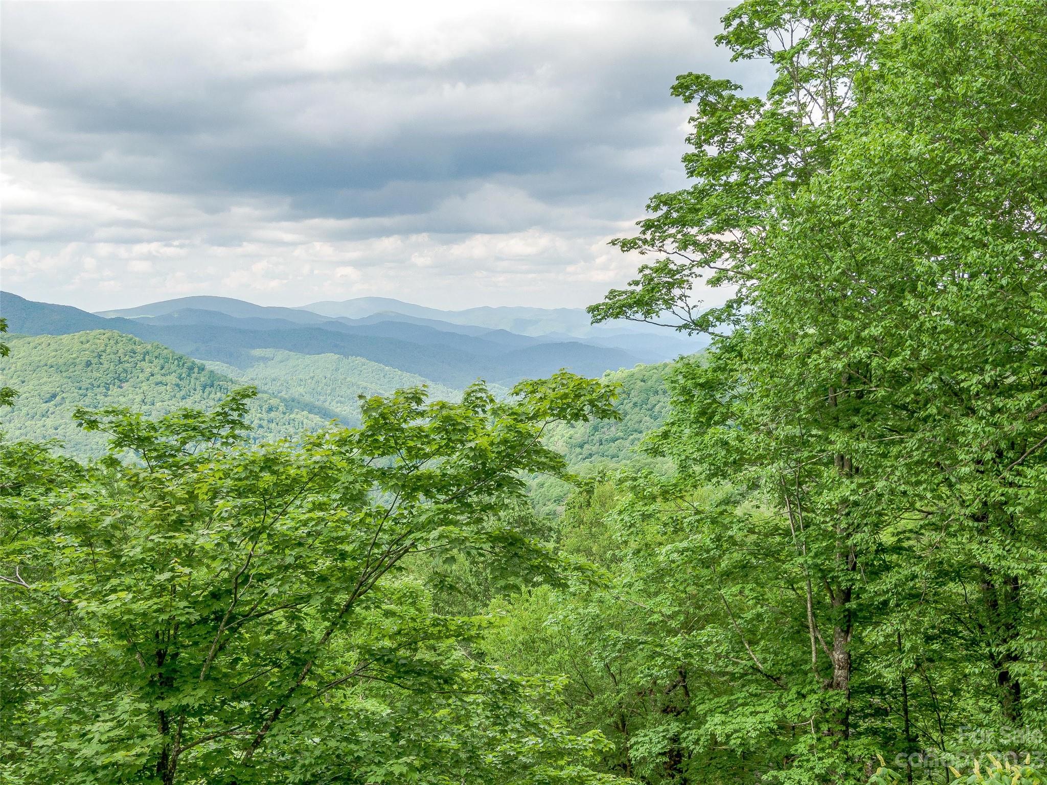 The Preserve at Wolf Laurel - Land