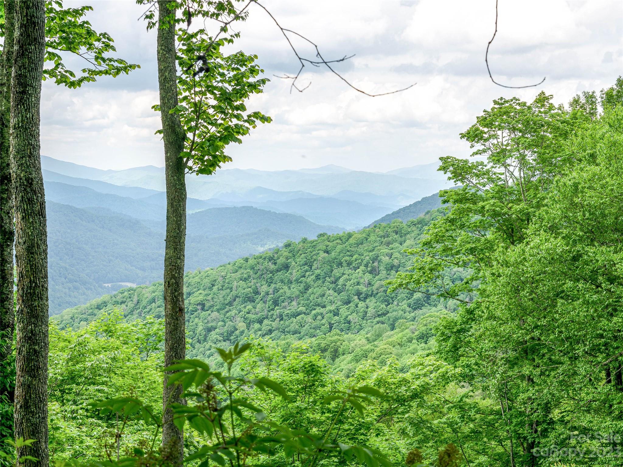 The Preserve at Wolf Laurel - Land