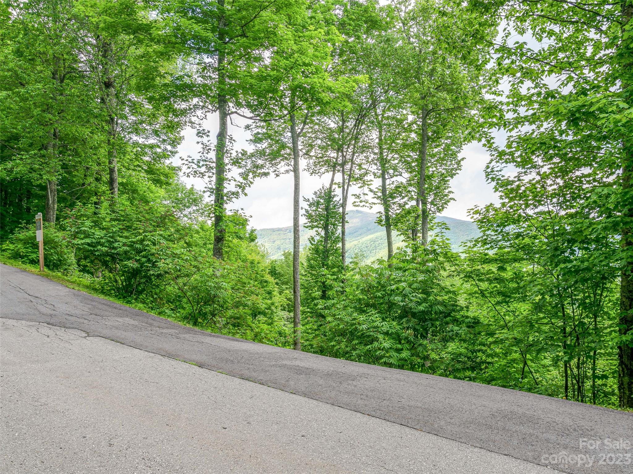 The Preserve at Wolf Laurel - Land