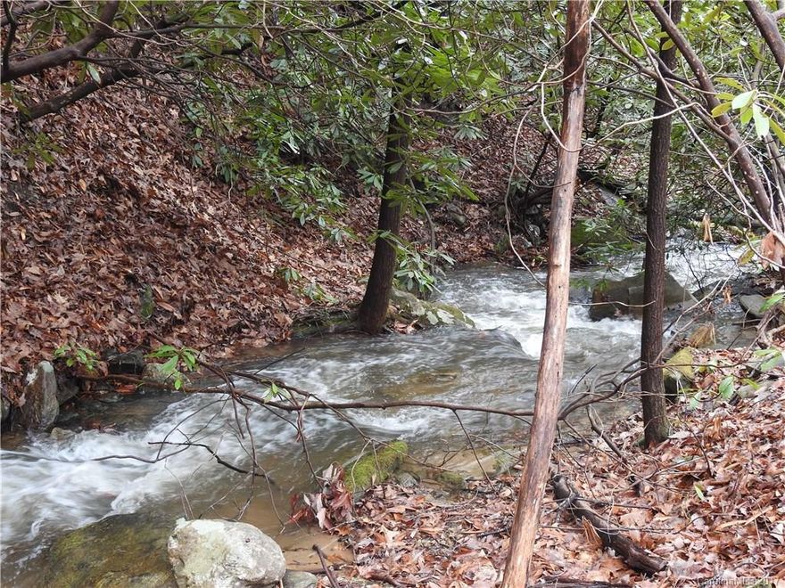 RARE CREEKFRONT LOT! Beautiful home site ready to build on Laurel Creek. Septic permit on file, house site and septic area flagged out, culvert installed in driveway, lot has been cleared, corners marked by survey stakes. Ideal site for a daylight basement home. Lace Falls is a well maintained/ planned subdivision in the Edneyville area, located approximately 15 to 20 minutes from 4 Seasons Blvd.