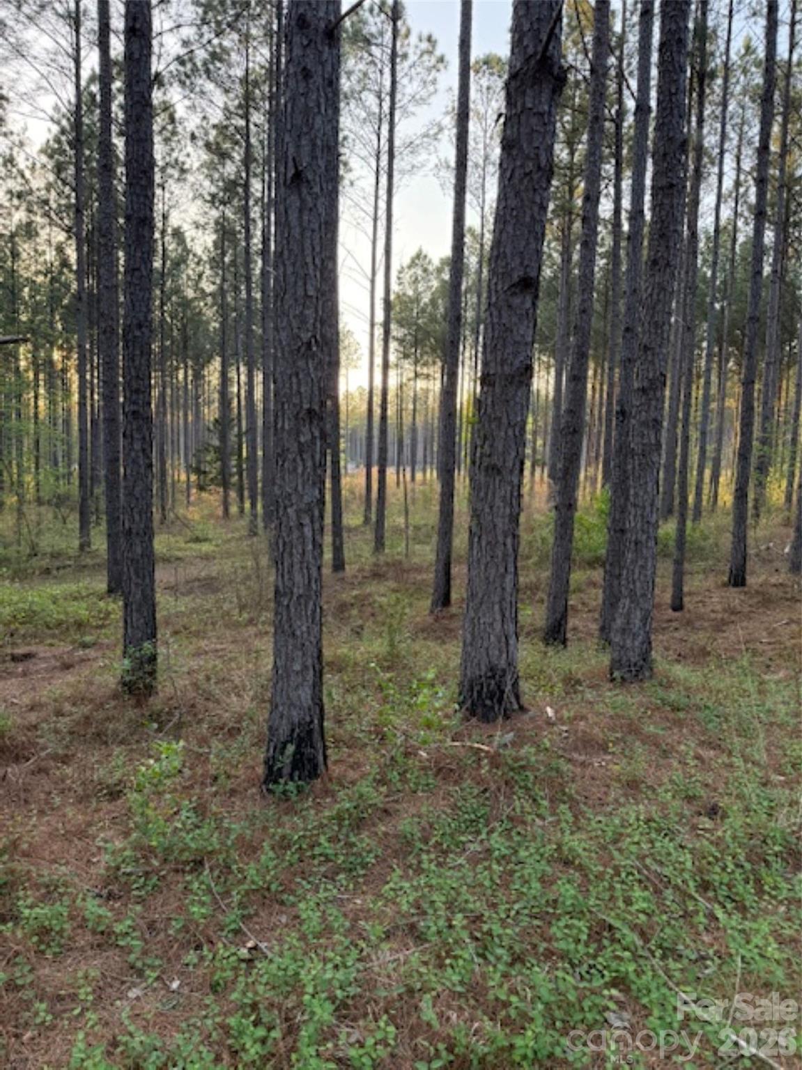 00 Spencer Pointe Road