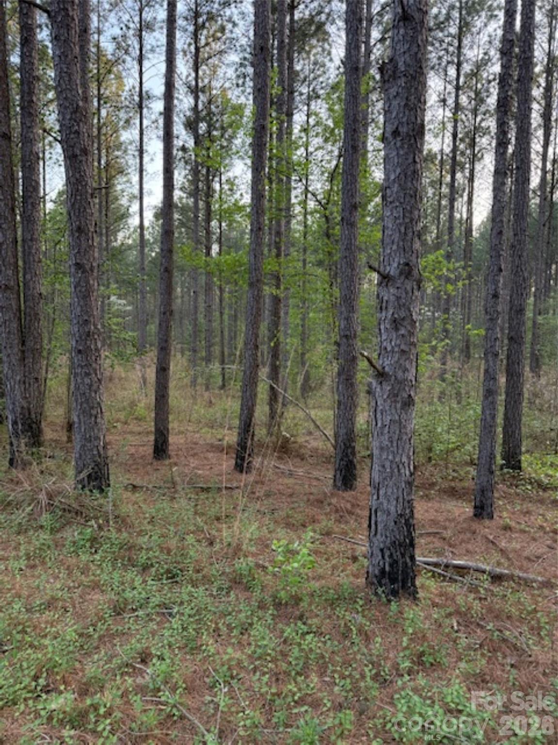 00 Spencer Pointe Road