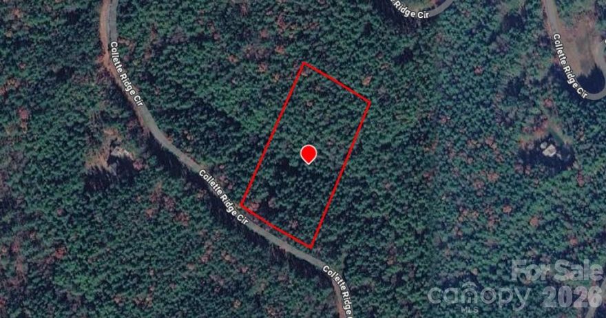 OWNER FINANCING AVAILABLE! This 4.30-acre wooded Lot 62 in Bluffs of Wilson Creek offers privacy, mountain beauty, and endless potential for your dream cabin or full-time home. Located in peaceful Collettsville, you’ll be surrounded by nature with hiking, fishing, and kayaking along Wilson Creek and breathtaking drives on the nearby Blue Ridge Parkway. Enjoy the charm of small-town living while being within easy reach of Lenoir and about an hour from the vibrant metro area of Charlotte for shopping, dining, and major amenities. Towering trees and rolling terrain create a scenic backdrop filled with wildlife and fresh mountain air. Priced below market value, this is the best deal on the market and a rare opportunity to own acreage in North Carolina’s beautiful foothills.