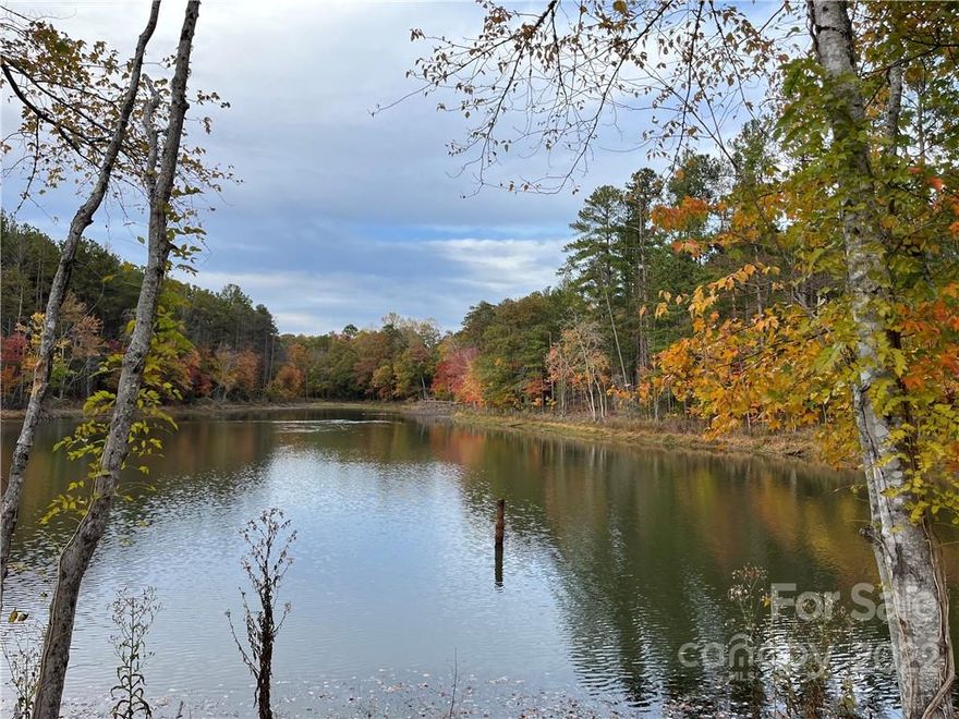 1.51 acre lot ON community pond and in CLOVER SCHOOL DISTRICT!!!  Unbelievable opportunity to find a lot this large and close to all that Lake Wylie has to offer.  Enjoy days fishing and evenings sitting fireside along the pond listening to the abundance of nature that surrounds. This is a subtle grade lot which allows for a crawl or walkout basement. Only a couple miles from schools, Starbucks, Walmart, marinas, restaurants and much more.  Enjoy the convenience of living just across the state border with easy access into Charlotte and only 18 miles to Charlotte Douglas International Airport.  Not only does the lot offer tremendous convenience in regards to location, it also provides the privacy sought after when building your new dream home.  Lot perks for a 4 bedroom home.  You really wont find a nicer lot this close to schools, shopping and restaurants.