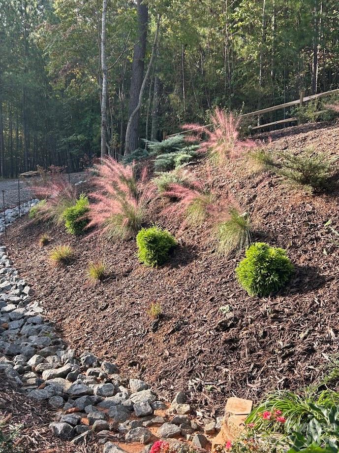 Clearwater Creek - Residential