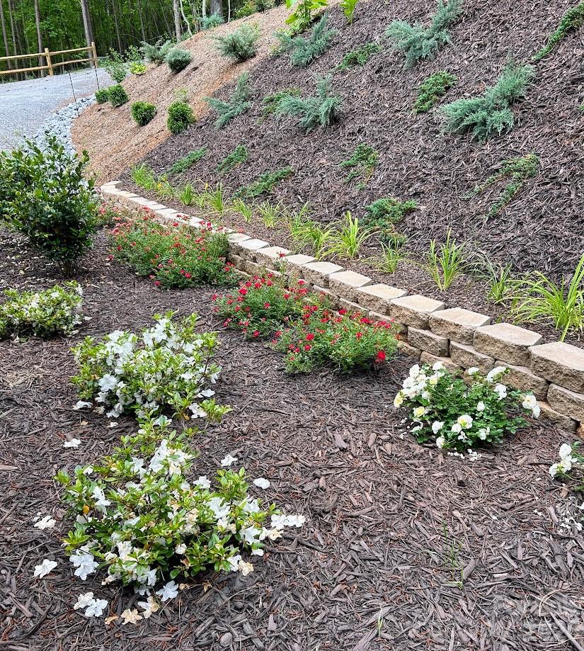 Clearwater Creek - Residential