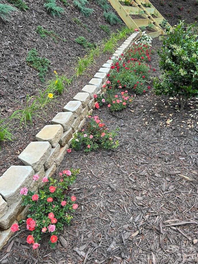 Clearwater Creek - Residential