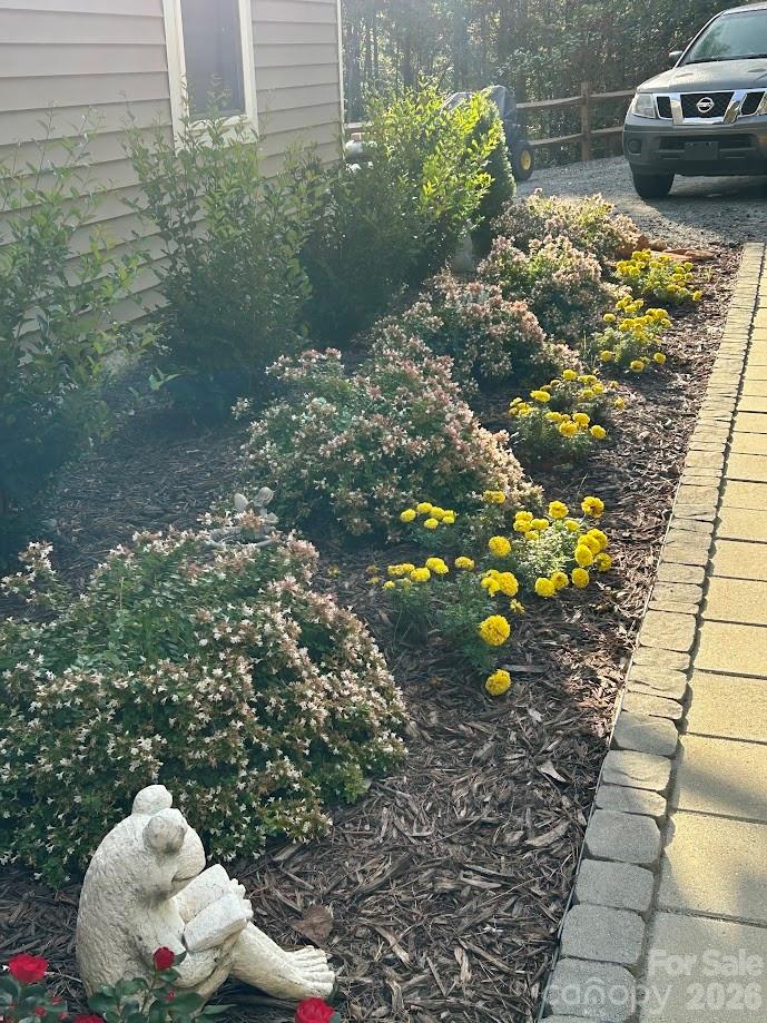 Clearwater Creek - Residential