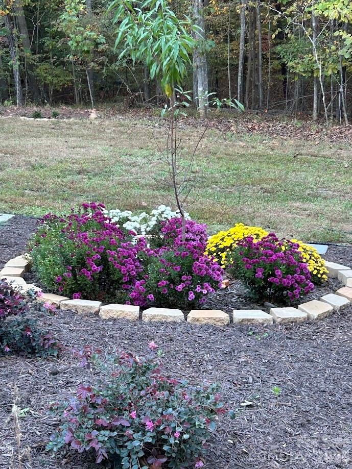 Clearwater Creek - Residential